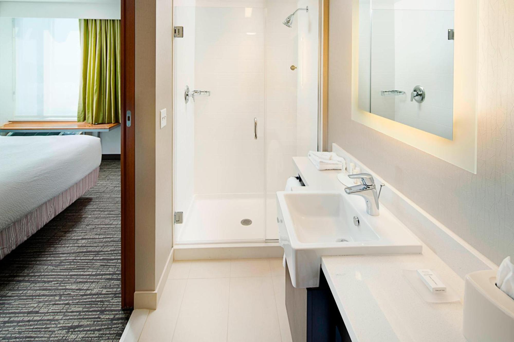 Springhill Suites By Marriott Carle Place Garden City Екстериор снимка